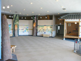 森林館　展示室